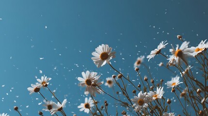 Poster - Spring flowers fly against the blue sky, summer aesthetic concept