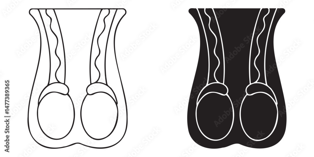 Testis Vector Vector de Stock Human Testicle Icon Collection. Male reproductive organ ...