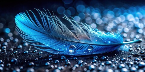 Aufkleber - A Single Blue Feather Adorned with Dew Drops Rests on a Dark Surface Illuminated by Soft, Shimmering Lights