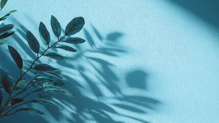 Aufkleber - Minimalistic simple background with blurred foliage shadow on light blue wall, beautiful background for presentation