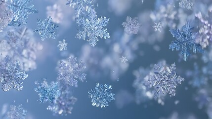 Poster - é›ªã®çµæ™¶ã€å£ç´™, Snowflakes, wallpaper