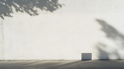 Poster - Abstract urban wall with leaf shadows creating a tranquil and minimal scene