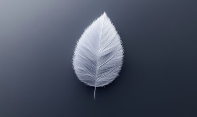 Poster - White feather leaf, minimalist background, nature design, website banner