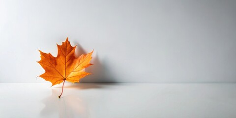 Poster - A Single Autumn Leaf Resting on a Smooth, White Surface Against a Clean, Minimalist Background