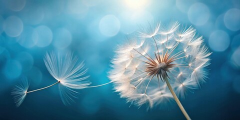 Poster - A Delicate Dandelion Seed Head with a Single Seed in Flight Against a Soft Blue Background
