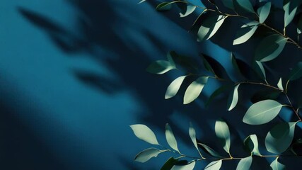 Poster - Close-up shot of a plant branch with leaves and stems
