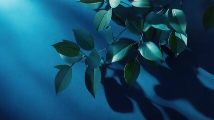 Poster - A single plant with green leaves set against a bright blue background