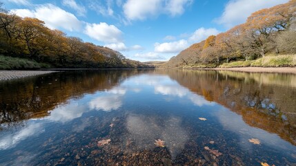 Poster - Calm river with a few leaves floating on the surface. The water is a deep blue color and the sky is clear