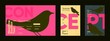 © Molibdenis-Studio - Typographic layouts featuring large birds and bold letter forms in vibrant pink and yellow contrasts for system launch and editorial display.