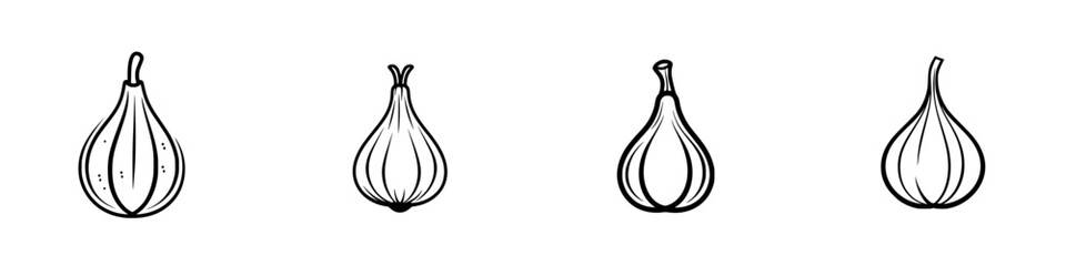 Poster - Vector illustration of four different stages of an onion emphasizing growth and development