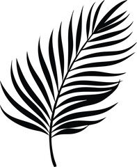 a palm tree leaf silhouette vector 