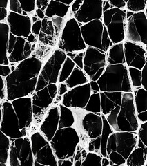 Poster - Black Marble Background with White Veins for Stylish Design