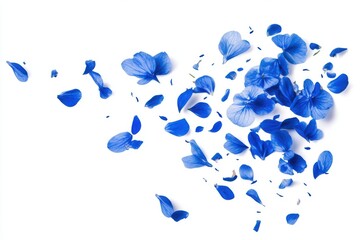 Poster - Floating Blue Hydrangea Petals on White Background Top View Minimalist Style Floral Design Element