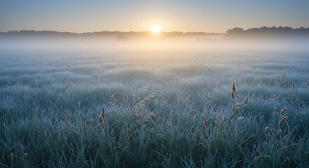  First Light's Embrace
