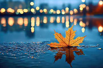 Poster - Lone maple leaf floating on calm water with city lights reflecting, creating peaceful and dreamy atmosphere