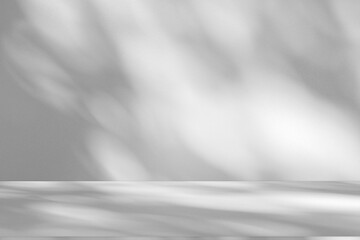 Leinwandbilder - Wall interior background, studio and backdrops show products.with shadow from window color white and grey. background for text insertion and presentation product	