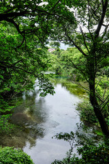 Aufkleber - 静岡県三島市の柿田川湧水群