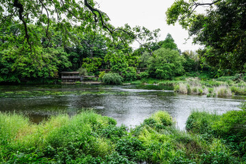 Aufkleber - 静岡県三島市の柿田川湧水群