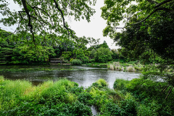 Aufkleber - 静岡県三島市の柿田川湧水群