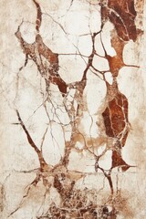 Poster - Abstract marble texture background showing brown veins on white stone close up for design element or backdrop