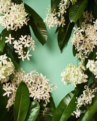 Poster - Tropical floral arrangement featuring white flowers and green leaves against a light green background studio shot
