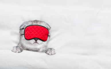 Fototapete - Cozy tiny kitten wearing sleeping mask sleeps  under blanket on a bed at home. Top down view. Empty space for text