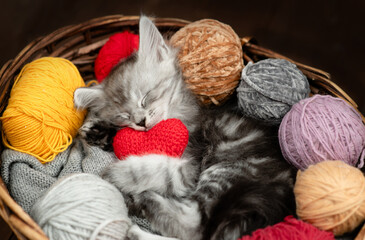 Aufkleber - Cozy maine coon kitten hugs ball of thread and sleeps inside a basket with red heart and many clews of thread
