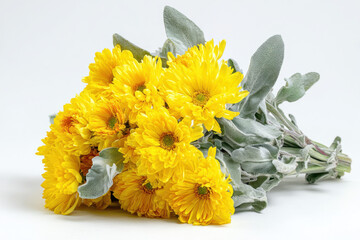 Poster - A vibrant bouquet of yellow chrysanthemum flowers, artfully arranged with soft grey-green foliage, rests on a pristine white surface. : Generative AI