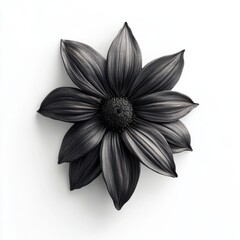 Poster - dark gray textured flower on white background