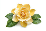 A beautiful yellow gardenia flower with green leaves on a white background : Generative AI