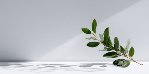 Aufkleber - Elegant green branch with leaves casts shadows on a minimalist grey background, creating a serene and natural scene perfect for product displays or branding. : Generative AI