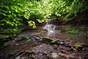 Fototapete - Enchanting waterfalls cascade through lush greenery in a tranquil forest amidst a narrow gorge. Rusyliv Falls, Ukraine, Europe.