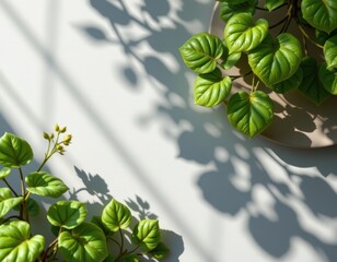 Poster - faux 3d render with textured leaves casting shadows, creating depth and a slightly surreal look
