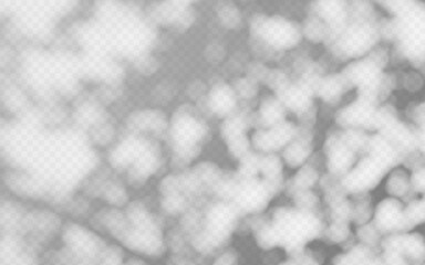 Wall Mural - abstract shadow overlay from foliage on a transparent background.