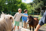 Children petting pony on farm during summer day