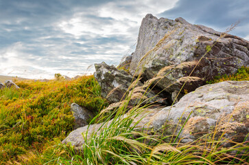 Wall Mural - beautiful mountain landscape in late summer. alpine scenery big boulder on the meadow. dramatic sky 