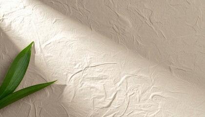Poster - Natural light highlighting textured surface with green leaf minimalist indoor setting artistic perspective