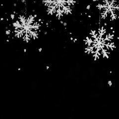 Poster - Elegant snowflakes hanging against a dark backdrop creating a wintery scene close up shot for holiday design
