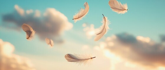 Poster - Delicate White Feathers Gently Falling Against a Soft Blue Sky with Fluffy Clouds Dreamy Serene Peaceful Scene