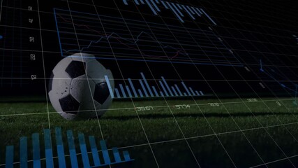 Poster - Solitary black-and-white soccer ball resting on green grass pitch, showing digital data overlays