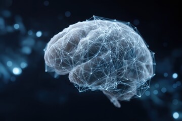 Fototapete - a brain with a web of lines surrounding it. the brain is white and the lines are blue