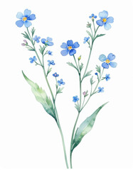 Poster - A delicate painting of blue flowers against a clean white background, perfect for use in graphic design, branding, or as a decorative element