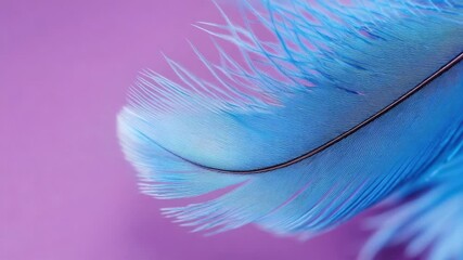 Poster - A close-up of a blue feather against a bright pink background