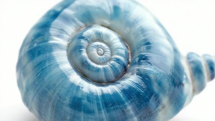 Poster - A close-up shot of a blue shell on a white surface, perfect for use in still life or product photography