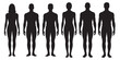© Abdur Razzak ID: #52 - Male and Female Body Silhouettes Front and Side Views, Male Anatomy Diagrams Skeletal, Muscular, and Silhouette Views, human body anatomy, front, back, side view, vector woman and man