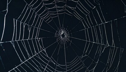 Detailed Intricate Spiderweb Pattern