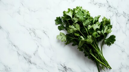 Poster - Fresh cilantro bunch on marble background.