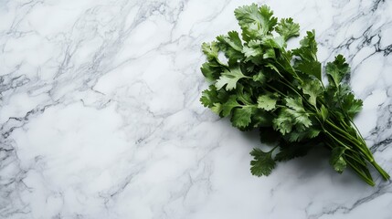 Poster - Fresh cilantro bunch on marble background. (1)