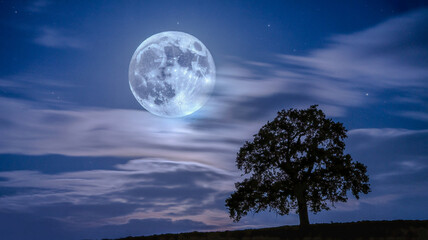 Wall Mural - Charm full moon illuminating clouds and whiz in the night sky 