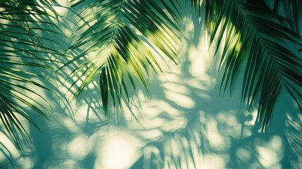 Poster - Green Palm Leaves and Soft Shadows on Light Background